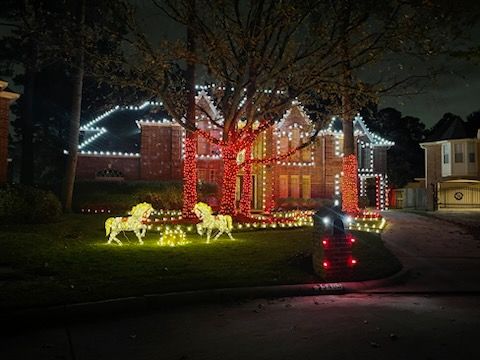 Holiday Lighting Installation and Removal