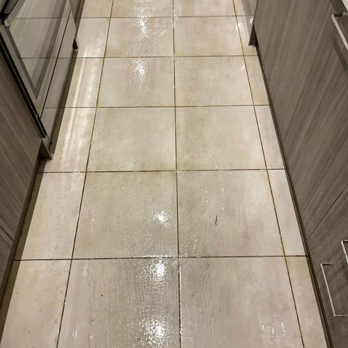 Tile and Grout Cleaning