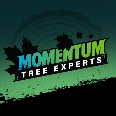 Avatar for Momentum Tree Experts