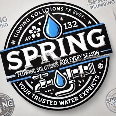 Avatar for Spring plumbing corp