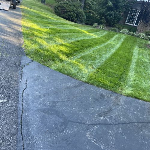 Lawn Mowing and Trimming