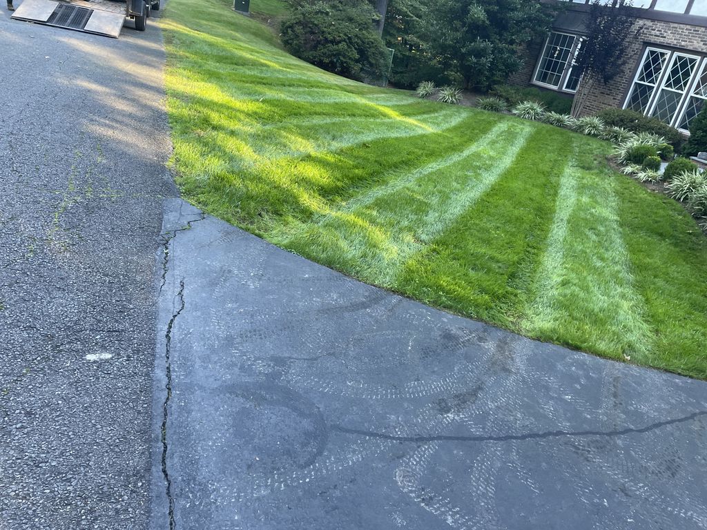 Lawn Mowing and Trimming