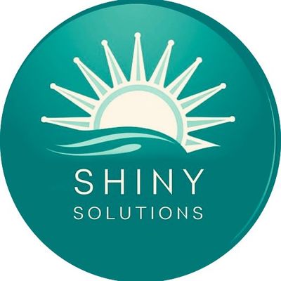 Avatar for Shiny Solutions