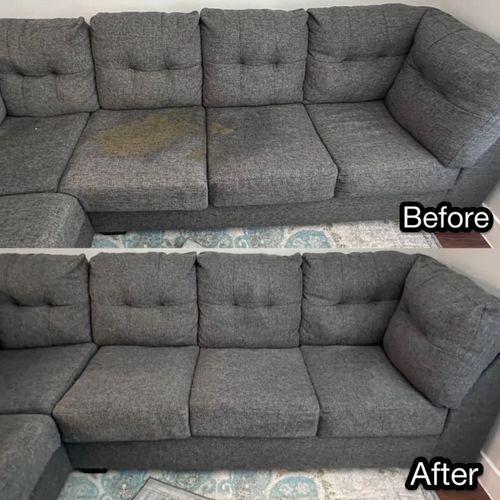 Upholstery and Furniture Cleaning