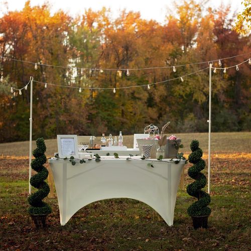 Classic Mobile Bar with Topiaries