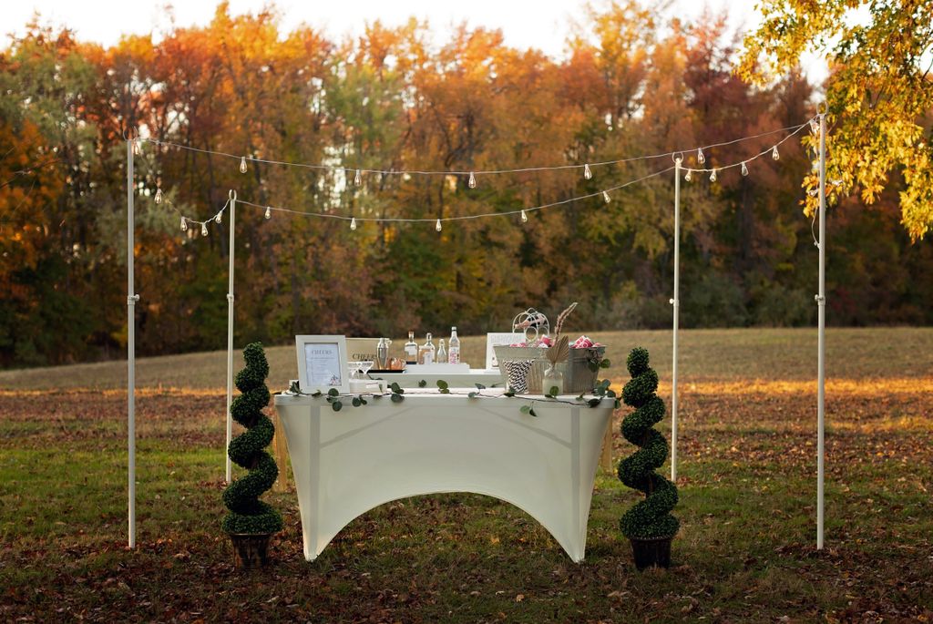 Classic Mobile Bar with Topiaries