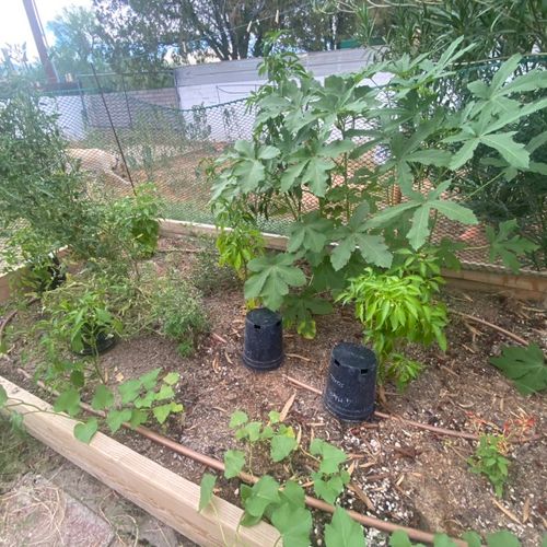 Assembled raised beds and a simple drip irritation