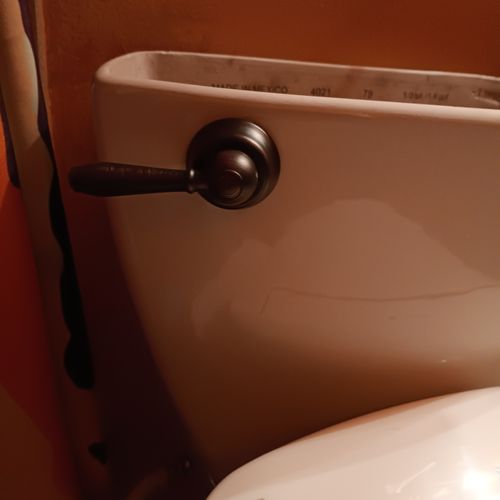 New toilet handle 