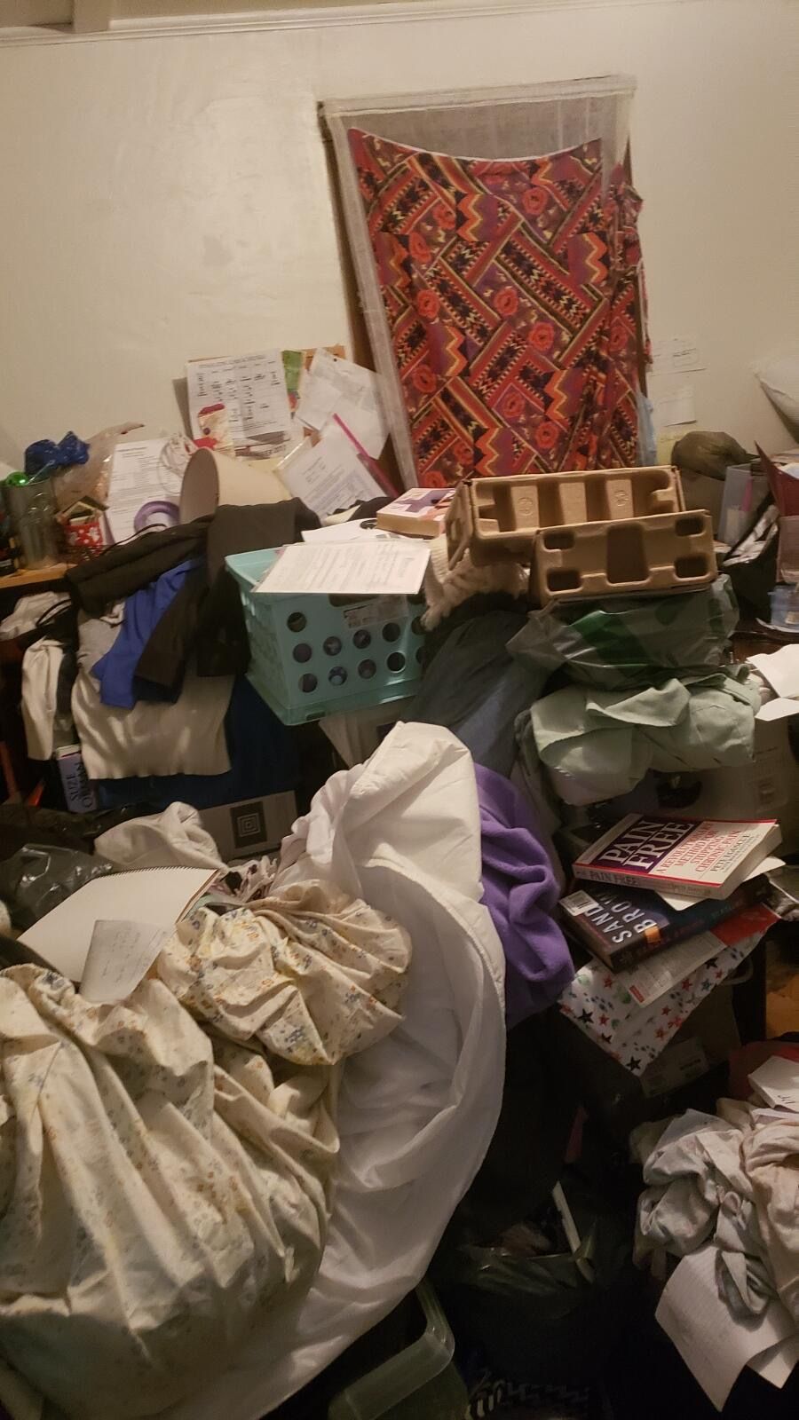 Hoarder Cleanout