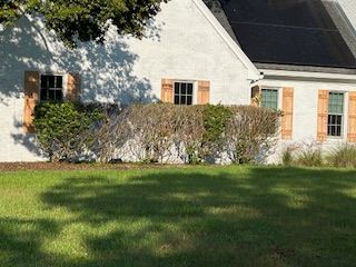 Shrub Trimming and Removal