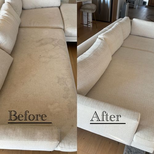 Upholstery and Furniture Cleaning