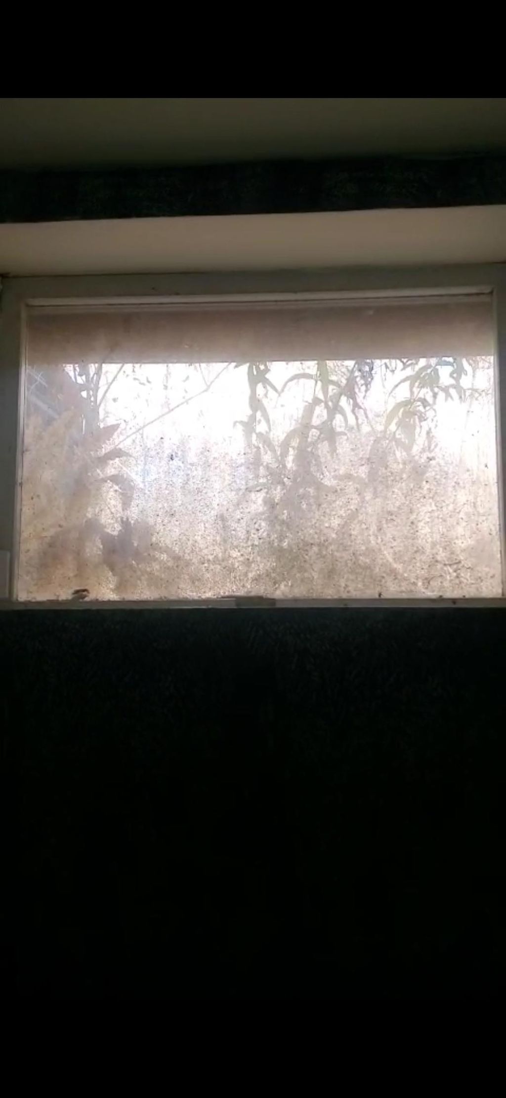 Dirty window