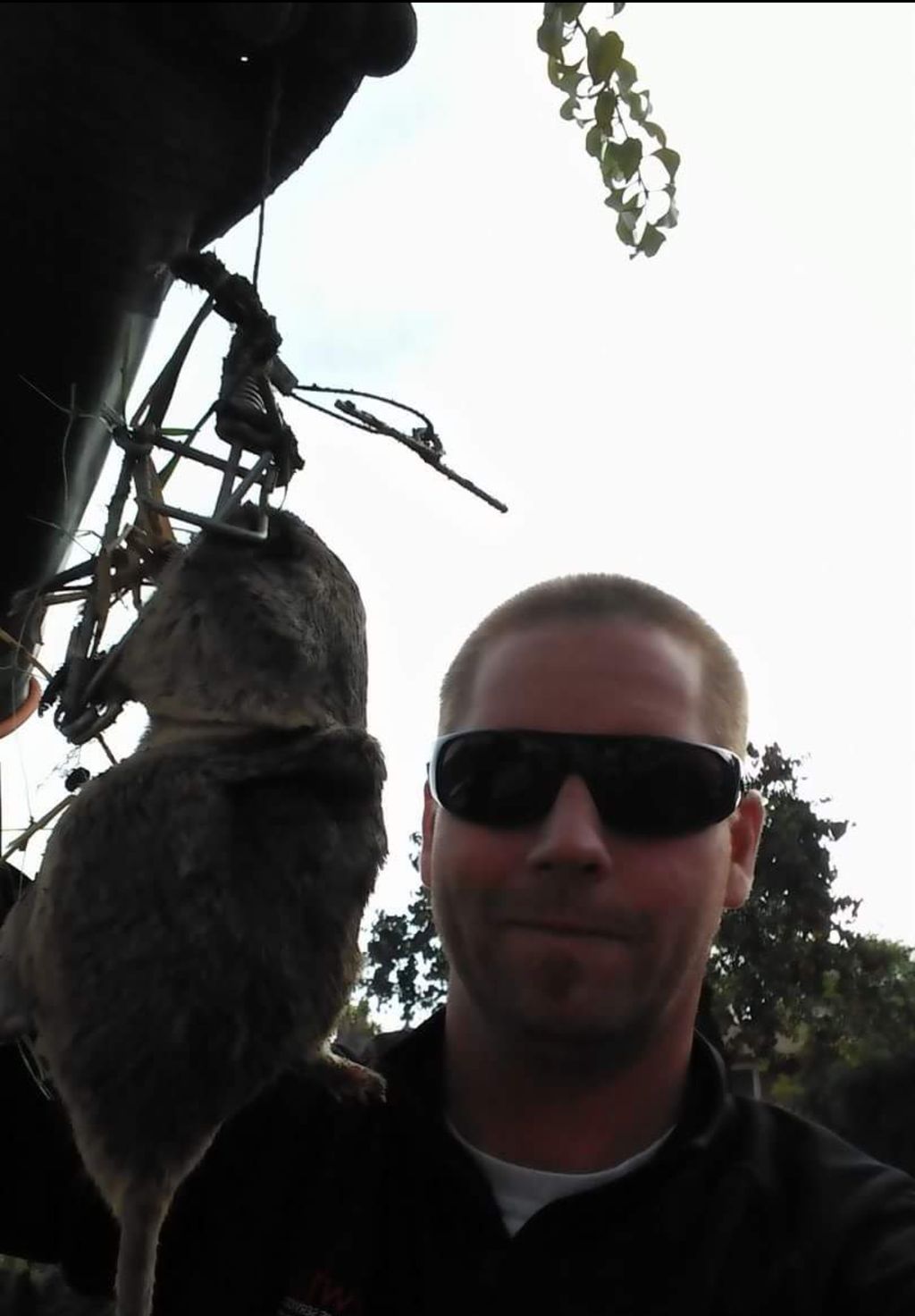 Another Gopher down!