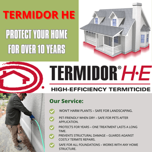 Termite Control Services