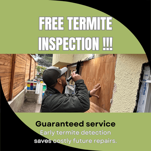 Termite Control Services