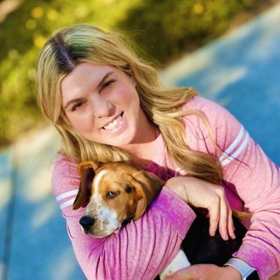 Avatar for DogsNewBFF, LLC - Pet Sitting