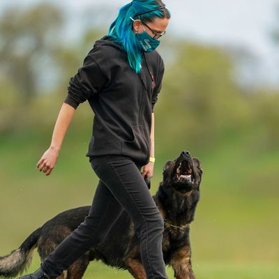 Avatar for Radiant Canine Training & Walking