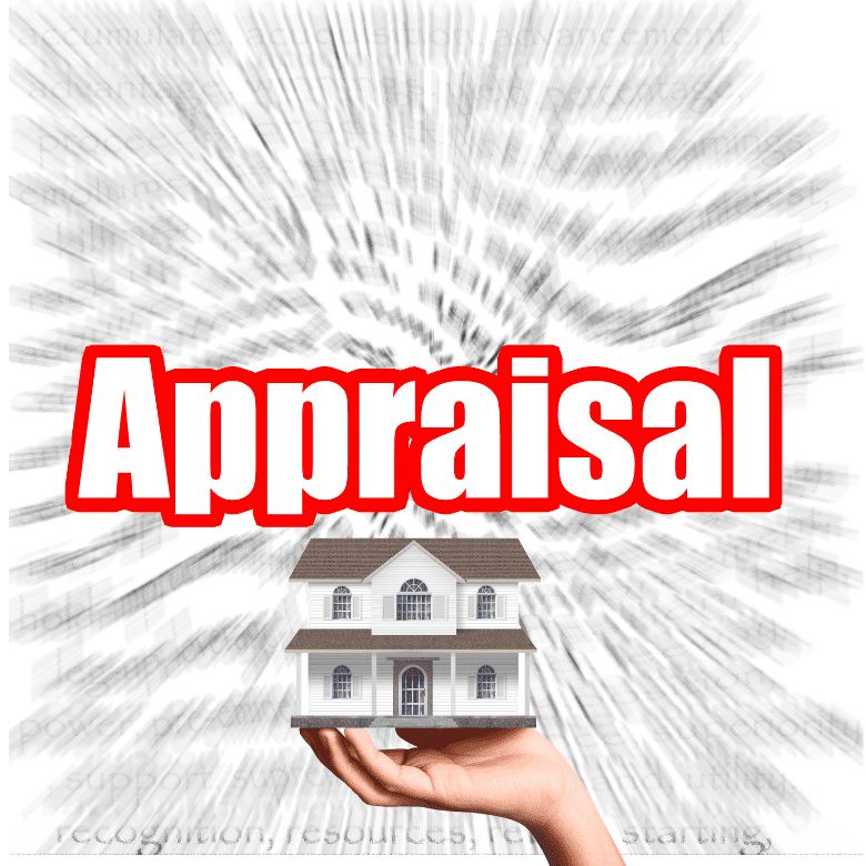 Validity Appraisals