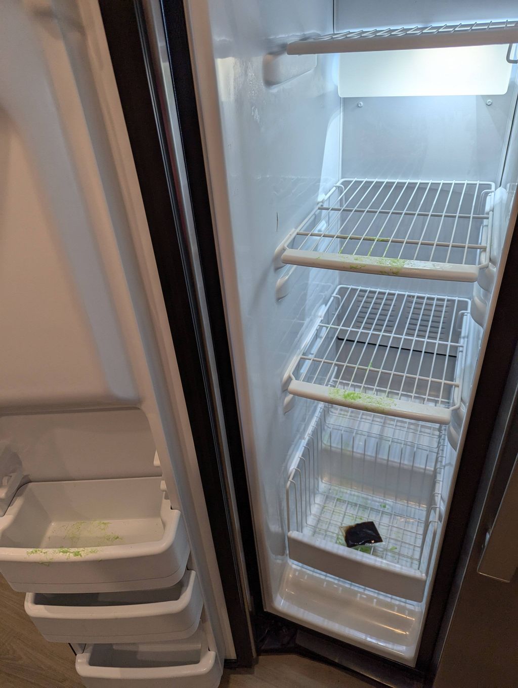 green slime in freezer (before pic)