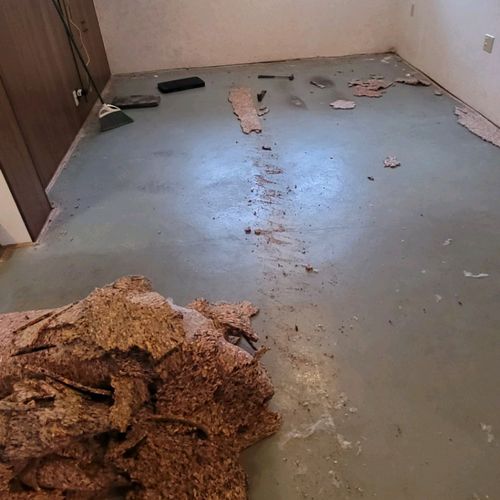 Floor Installation or Replacement