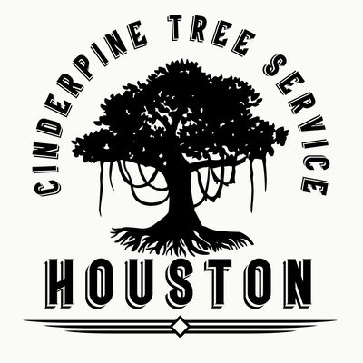 Avatar for CinderPine Tree Service