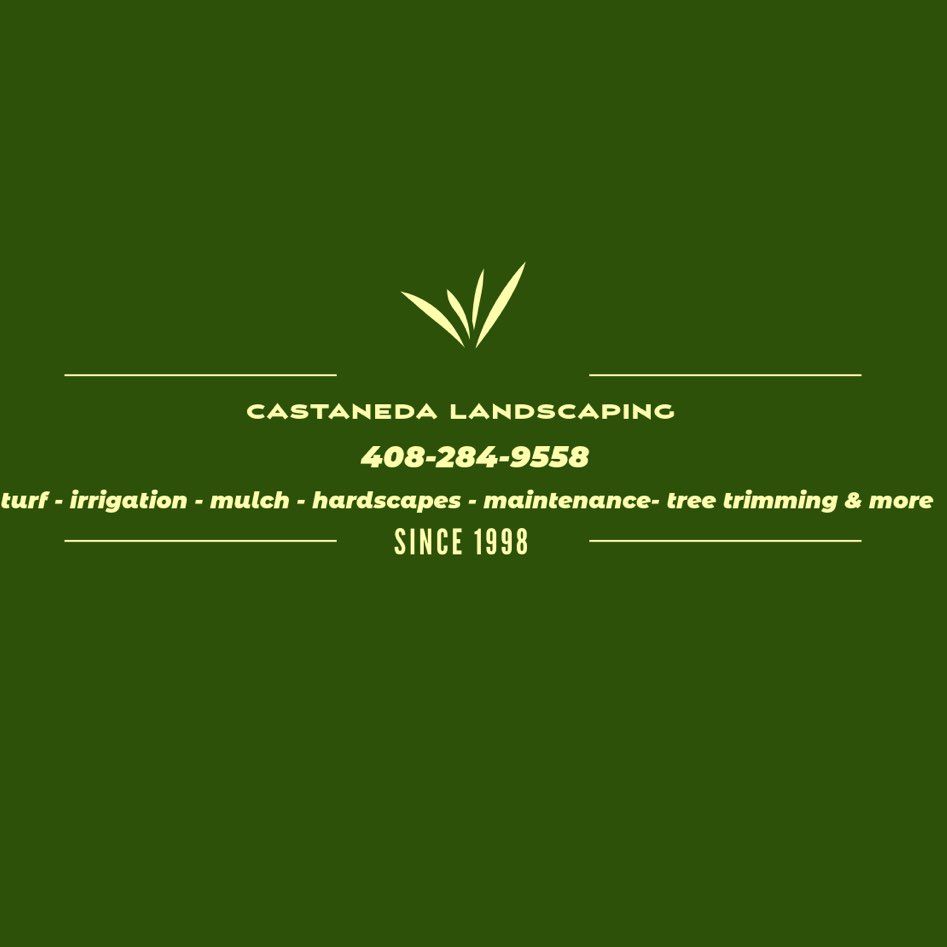 Castaneda landscaping & tree service