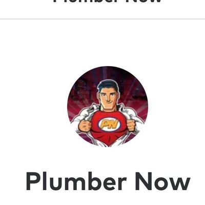 Avatar for Plumber Now/SES