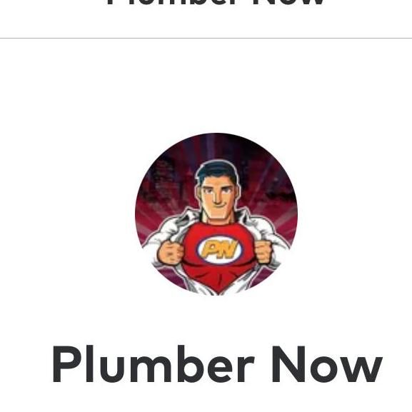 Plumber Now/SES