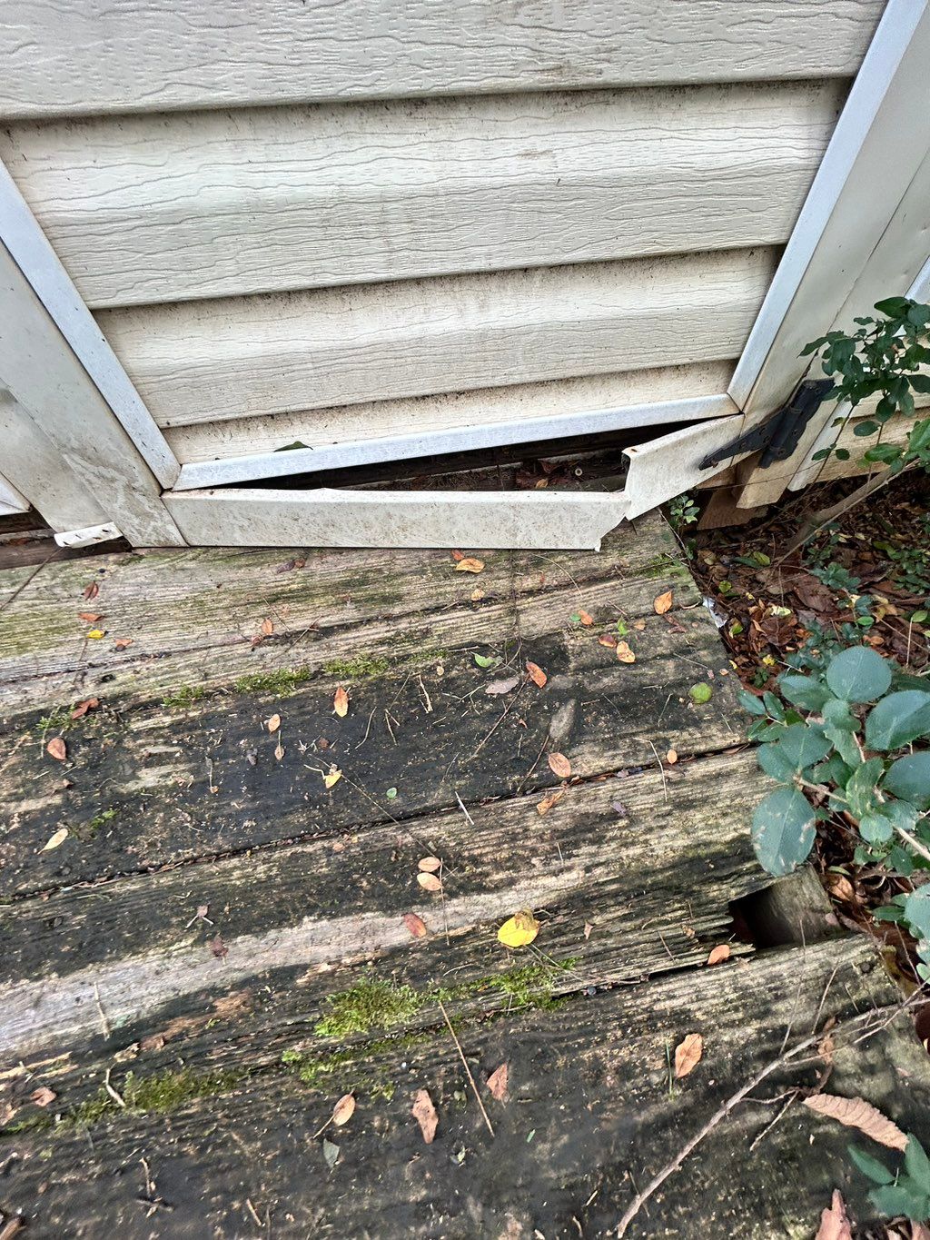 Before wood was completely removed and replaced wi