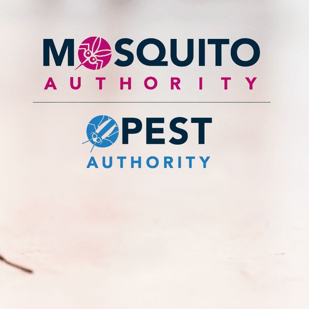 Mosquito and Pest Authority Cranston RI