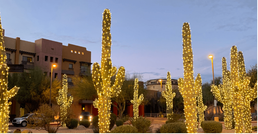 cactus with holiday lights