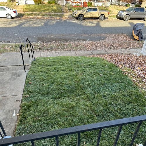 Great job putting in sod across front lawn