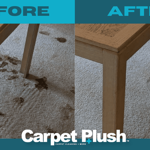 Carpet Cleaning