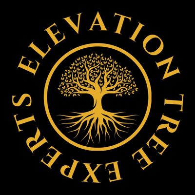 Avatar for Elevation Tree Experts