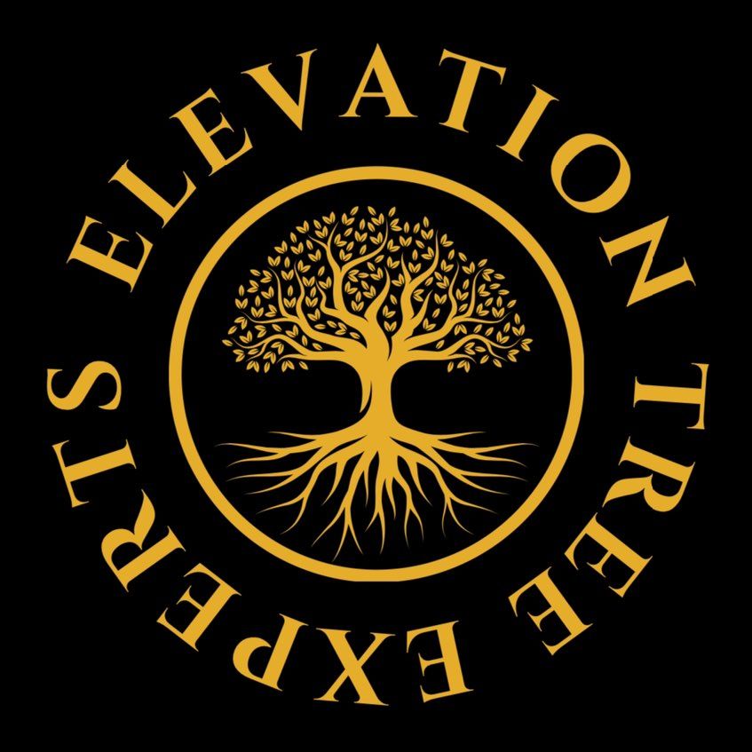 Elevation Tree Experts