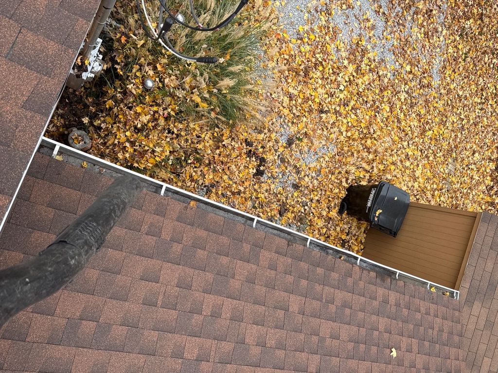 Gutter Clean After