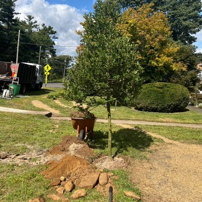 Avatar for Edwork landscaping & tree services LLC