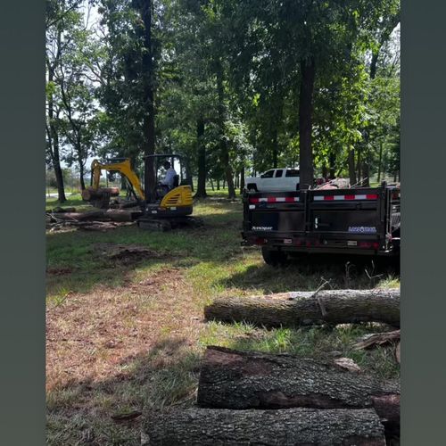 Tree removal