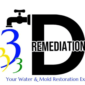 Avatar for 3D REMEDIATION