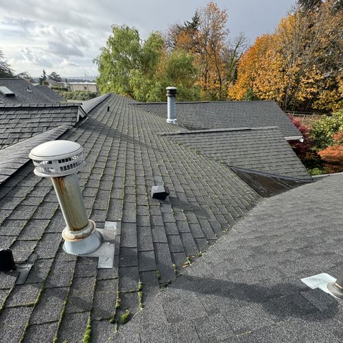 Roof Cleaning