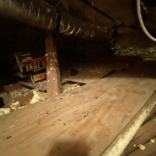 Garage, Basement or Attic Cleaning