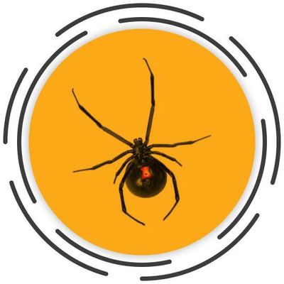 Avatar for Hazy Pest Control service.