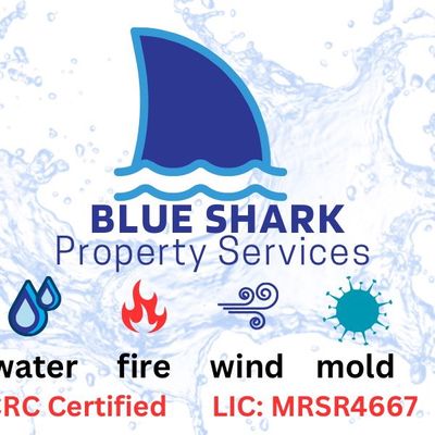 Avatar for Blue Shark Property Services