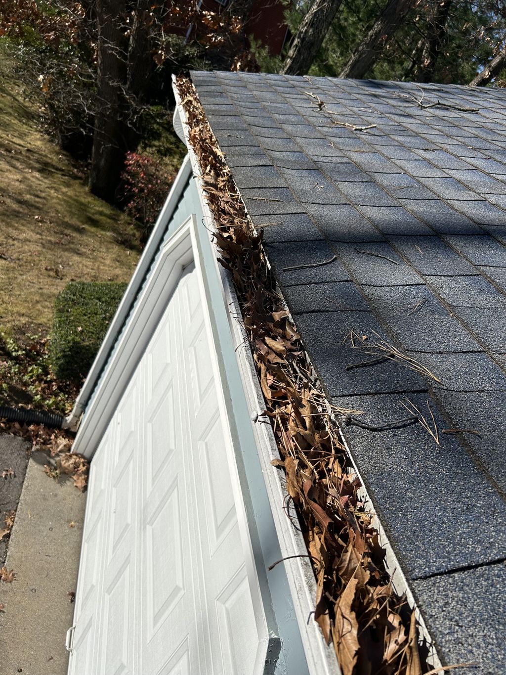 Gutter Cleaning and Maintenance