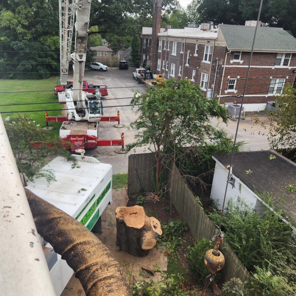 Oak’s Tree Service 🌲