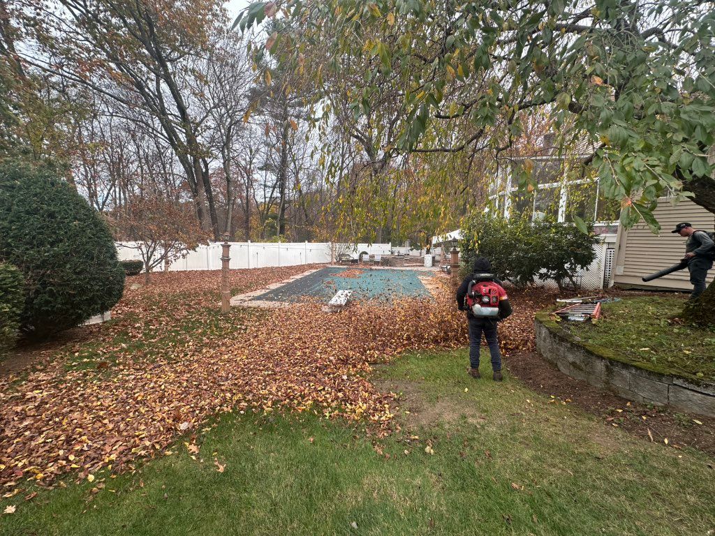 Leaf cleanup 