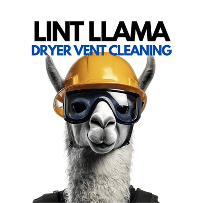 Avatar for Lint Llama