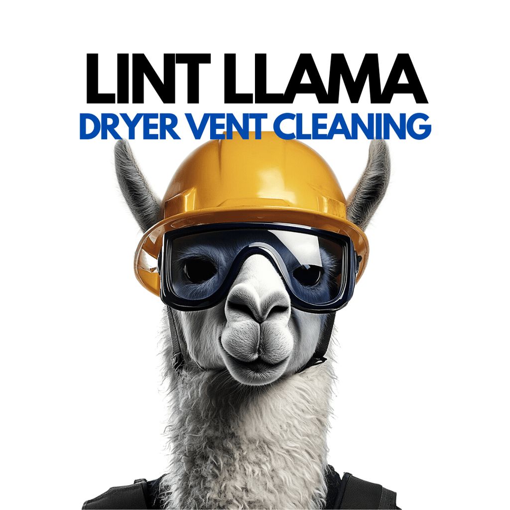 Lint Llama