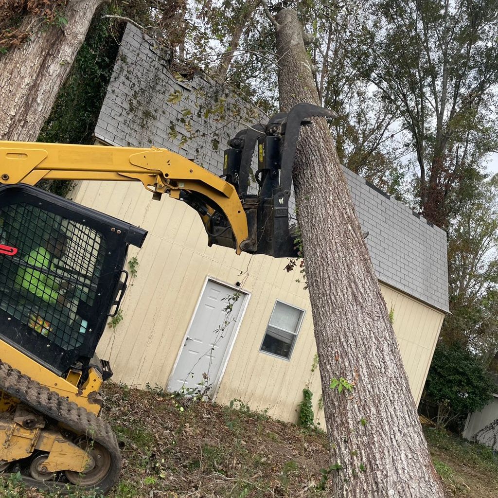 Alvarenga tree service