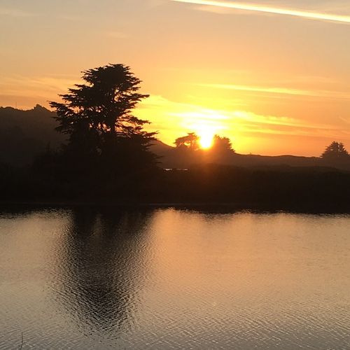 Golden Light Gardens LLC Profile Picture